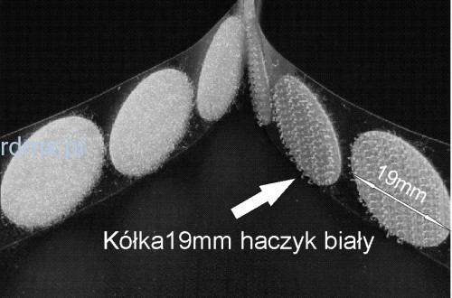 19haczykB.JPG